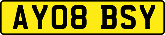 AY08BSY