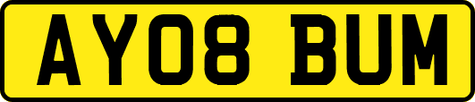 AY08BUM