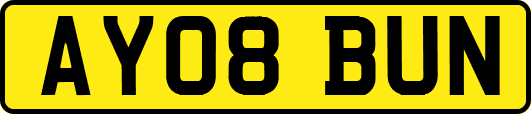 AY08BUN