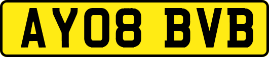 AY08BVB