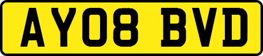 AY08BVD