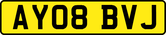 AY08BVJ