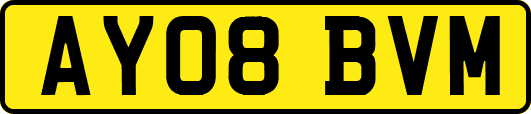 AY08BVM