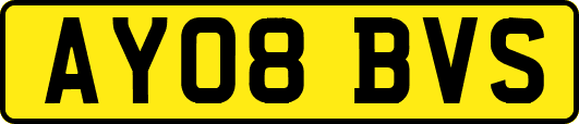 AY08BVS
