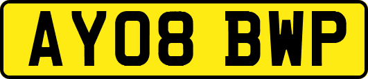 AY08BWP