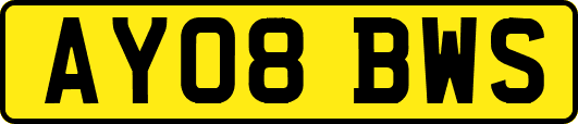 AY08BWS