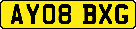 AY08BXG