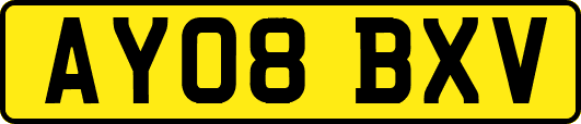 AY08BXV