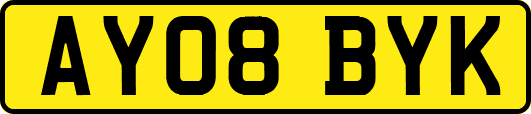 AY08BYK