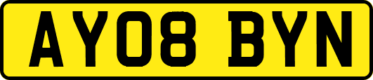 AY08BYN