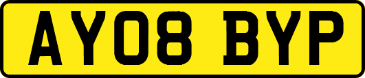 AY08BYP