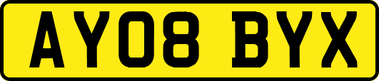 AY08BYX