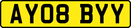 AY08BYY