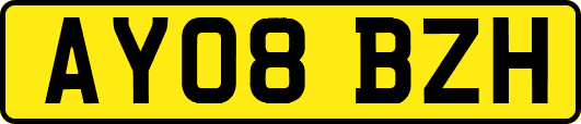 AY08BZH
