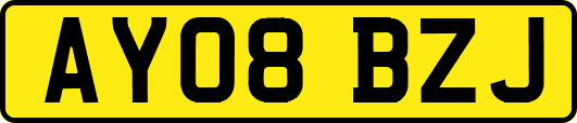 AY08BZJ