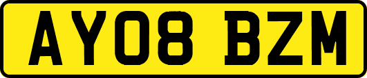 AY08BZM