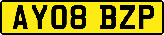 AY08BZP