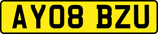 AY08BZU