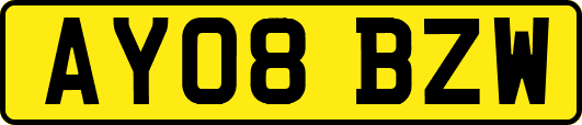 AY08BZW
