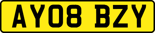 AY08BZY