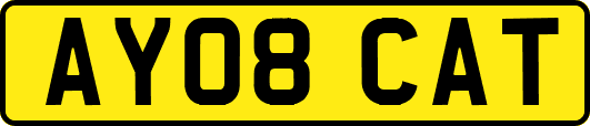 AY08CAT