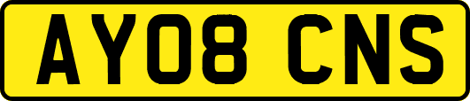 AY08CNS