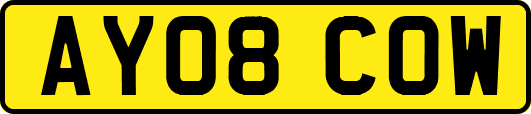 AY08COW