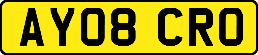 AY08CRO
