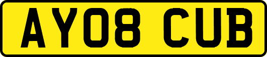 AY08CUB