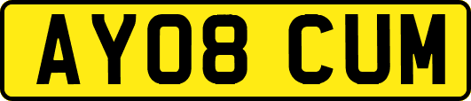 AY08CUM