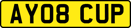 AY08CUP
