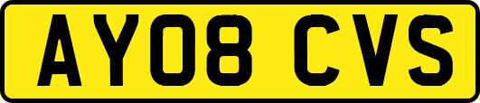 AY08CVS