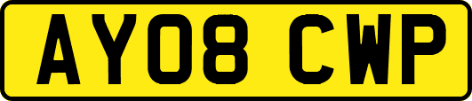 AY08CWP