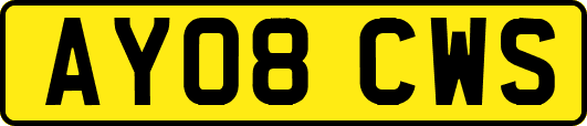 AY08CWS