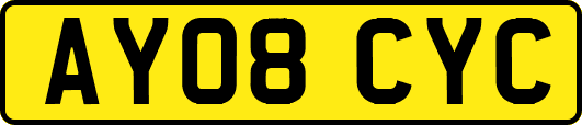 AY08CYC