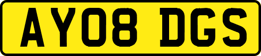 AY08DGS