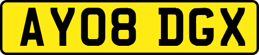 AY08DGX