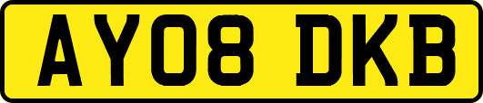 AY08DKB