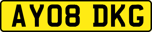 AY08DKG