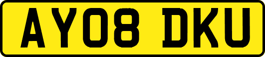 AY08DKU