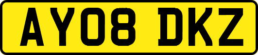 AY08DKZ