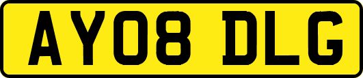 AY08DLG