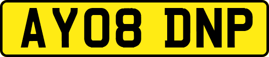 AY08DNP