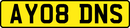 AY08DNS