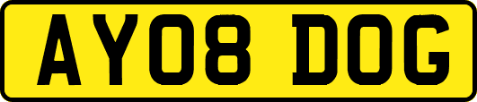 AY08DOG
