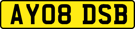 AY08DSB