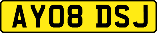 AY08DSJ
