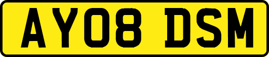 AY08DSM