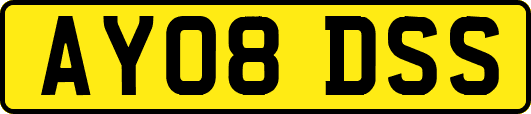 AY08DSS