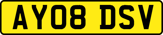 AY08DSV
